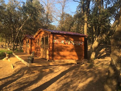 Centre équestre du trou du Q, Pension pour Chevaux à La Londe-les-Maures