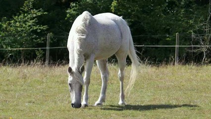 CENTRE EQUESTRE DE STE CROIX HAGUE, Centre Equestres à La Hague