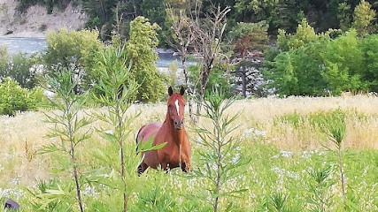 Equestrian Field Des Vals D'azur, Centre Equestres à Rigaud