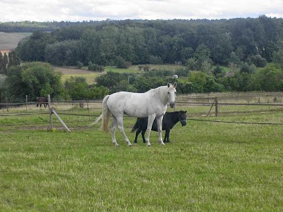 HARAS DU MAY, Pension pour Chevaux à Guyencourt