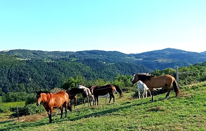 Écurie D'ébrilla Centre Équestre à Colombier-le-Vieux