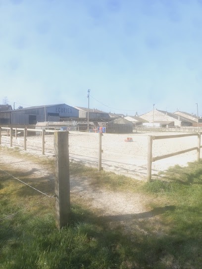 Écurie Du Lery, Pension pour Chevaux à Euville