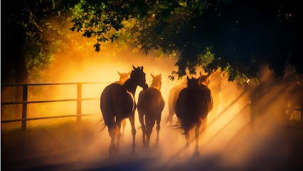 Le Clos De L'aigalade, Centre Equestres à Fontanès