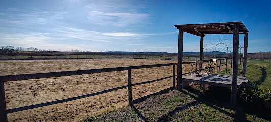Écuries De Baylenque | Écurie De Propriétaires - Pension Pour Chevaux, Pension Pour Chevaux à Saint-Jean-de-Serres
