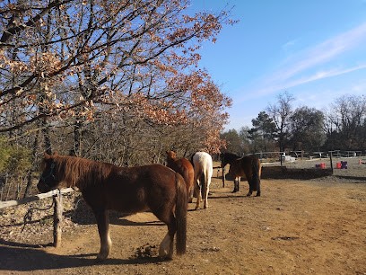 TOUS EN SELLE, Centre Equestres à Rians