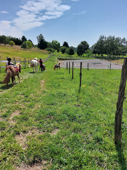 Ferme Équestre Les Collines D'epona Centre Équestre à Cassagnabère-Tournas