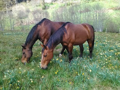 Gîte Et Ferme Equestre De Montcodiol Delphine Gourbière, Centre Equestres à Saint-Anthème
