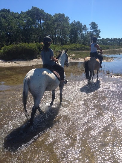 Equestrian Center Du Cardin, Centre Equestres à Hourtin