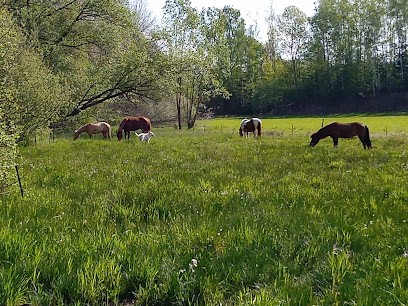 Stud Du Cerisier, Centre Equestres à Fougerolles