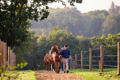 Arcadia Elevage, Centre Equestres à Saint-André-d'Hébertot