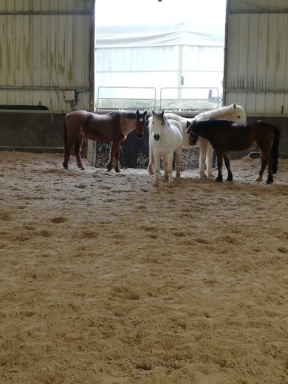 ECOLE ELEMENTAIRE D EQUITATION HUBERT ANSELIN, Centre Equestres à La Rochette
