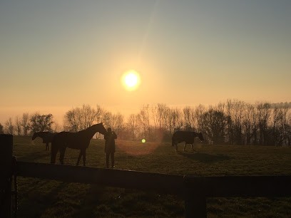 Haras de la Varende, Pension pour Chevaux au Mesnil-Simon