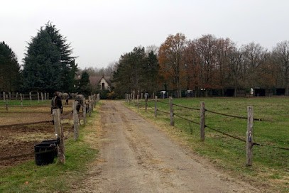 Écuries du Bois Vallée, Centre Equestres au Tartre-Gaudran