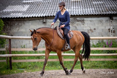 Art'crac Équitation - Céline Legendre, Centre Equestres au Lorey