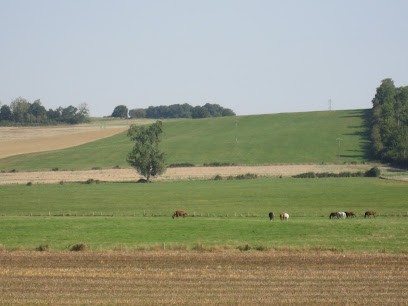 Pension chevaux : Ferme de Gérardcourt, Pension pour Chevaux à Ville-en-Vermois