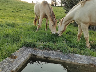 Les Écuries De Montgibaud, Pension pour Chevaux à Montgibaud