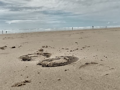 Les écuries d’Automne (Plomelin), Pension pour Chevaux à Plomelin