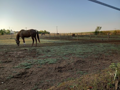 Écurie Vincent Morin, Pension pour Chevaux à La Forêt-Sainte-Croix