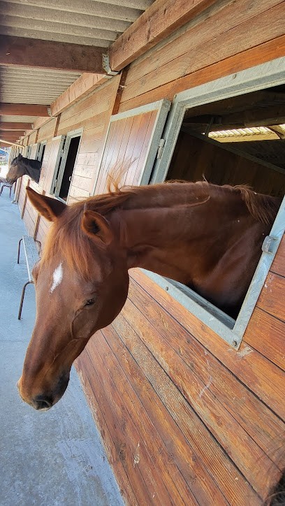 SCEA WINNETOU ECURIES DE L ALLOEU, Centre Equestres à Fleurbaix
