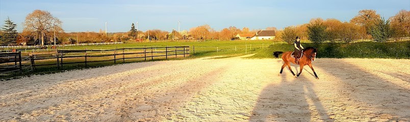ML Jumping, Pension pour Chevaux à Taillis