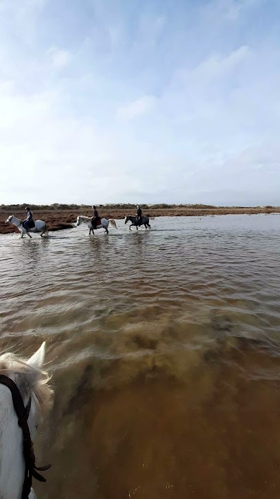 AL.EQUI.LIBRE: camargue évasion, Centre Equestres au Cailar