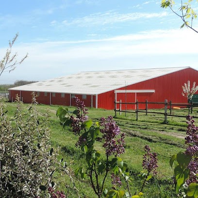 Oaks Farm - Pension pour chevaux, Pension pour Chevaux à Sérignac