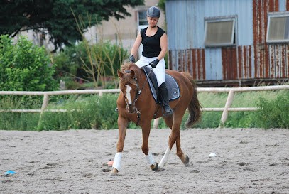 Ecurie des Ayennes, Pension pour Chevaux à Vahl-lès-Bénestroff
