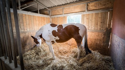 Haras De La Chapelle, Centre Equestres à Vallangoujard