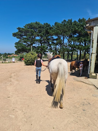 PONY EXPRESS DU COTENTIN, Centre Equestres à Fermanville
