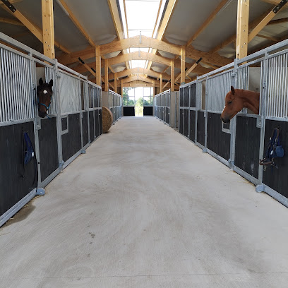 Scea Des Walkyries Pension Pour Chevaux à la Vespière-Friardel