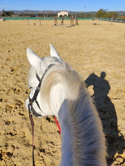 Haras De Berre, Pension pour Chevaux à Berre-l'Étang
