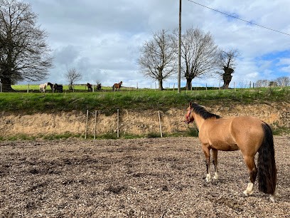 Le Manège De Regalis, Centre Equestres à La Roche-Mabile