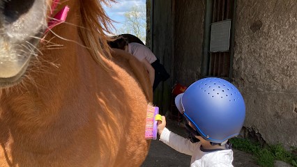 Liés Par Nature - Paddock Paradise, École et Pension, Pension pour Chevaux à Beauzac