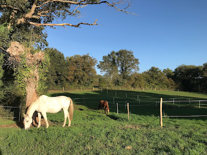 Pension Cheval Au Repos - Près D'angers, Pension Pour Chevaux à Saint-Martin-du-Fouilloux