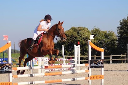 Earl Les Ecuries De Lancelot, Centre Equestres à Ranville-Breuillaud