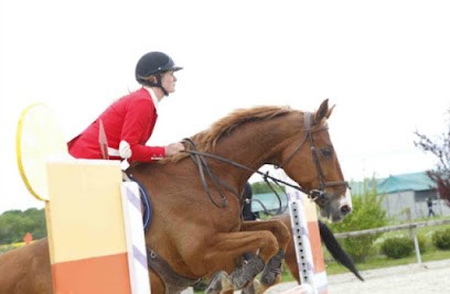 Stud Du Meix, Centre Equestres à Saint-Martin-en-Bresse