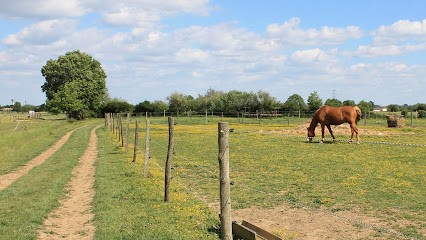 Les Écuries De Cornac, Centre Equestres à Grenade