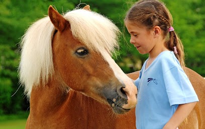 Pony Club D'ezanville, Centre Equestres à Ézanville
