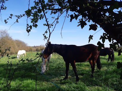 Edel'Paradise, Centre Equestres à Saint-Pompain