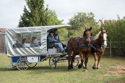 Association A.R.S.E, Centre Equestres à Saintry-sur-Seine