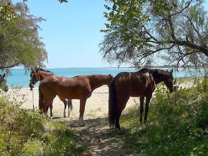 Equestrian Center De Course Les Barres, Centre Equestres à Cours-les-Barres