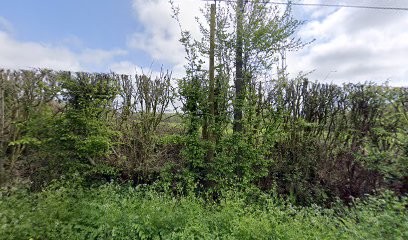 Haras Du Thil, Pension pour Chevaux au Thil-Riberpré