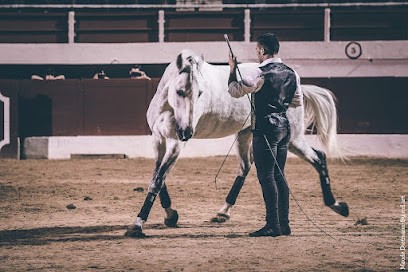 Écurie de Cazeneuve, Centre Equestres à Urdens