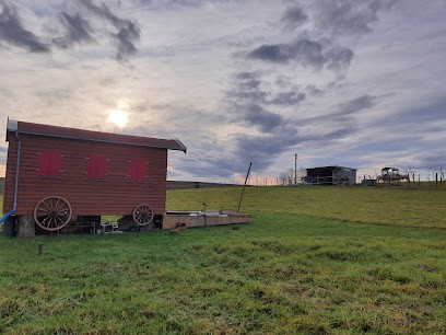Pension de la Niedermatt, Pension pour Chevaux à Batzendorf