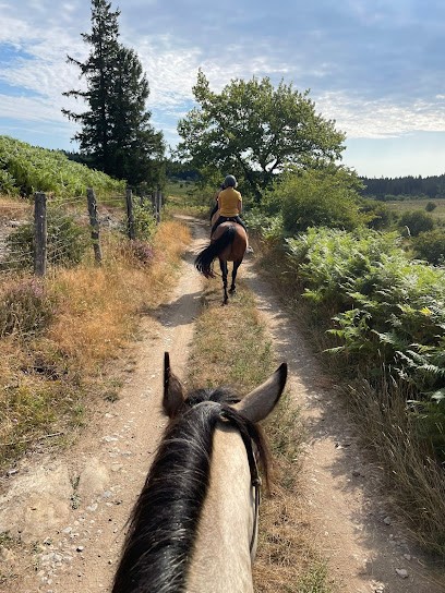 Horse Riding Ecole Du Somail, Centre Equestres au Soulié