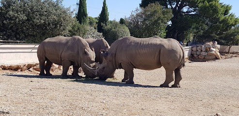Les Ecuries Du Baou, Centre Equestres à Pélissanne