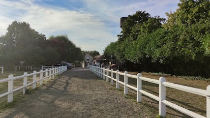 Ryan's Farm Centre Equestre Western Et Classique Balade En Forêt De Fontainebleau, Centre Equestres à Ury