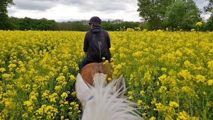 Poney Club Saint Christophe/ Centre équestre En Saône Et Loire, Centre Equestres à Saint-Christophe-en-Bresse