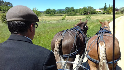Le Haras Du Bel Olivier Pension Pour Chevaux au Beausset