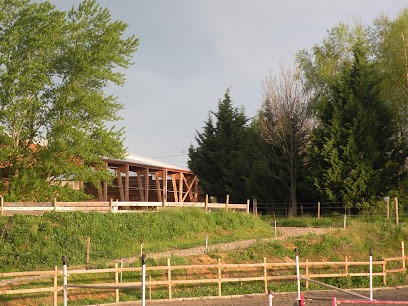 Les Ecuries Des Peupliers, Pension pour Chevaux à Orliénas